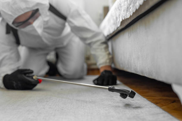 Professional Bed Bug Control technician working in Jekyll Island, GA