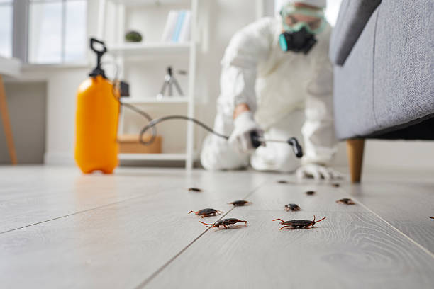Trusted Mosquito Control service in Jekyll Island, GA - Nex Pest Control