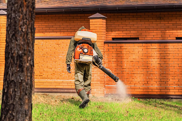 Trusted Bed Bug Control service in Jekyll Island, GA - Nex Pest Control